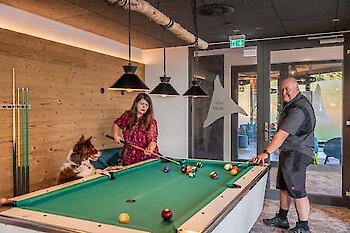 Urlaub in einem Hundehotel